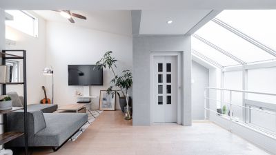 Skylight Service in Marin County, CA